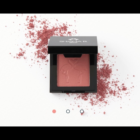 Shaina B. Miami Other - Shaina B Miami Blush in Brickell
